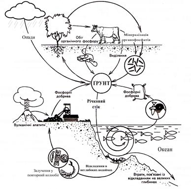 Описание: Описание: Описание: Описание: Описание: Описание: Описание: тато2