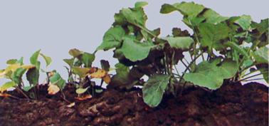 Описание: Описание: Описание: Описание: Описание: Описание: Описание: 4