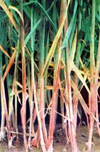 Описание: Описание: Описание: Описание: Описание: Описание: Описание: 5