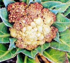 Описание: Описание: Описание: Описание: Описание: Описание: Описание: 6