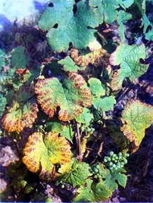 Описание: Описание: Описание: Описание: Описание: Описание: Описание: 7