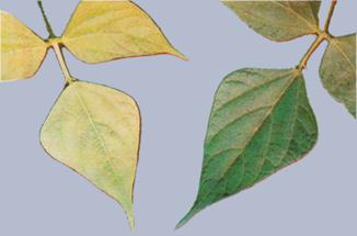 Описание: Описание: Описание: Описание: Описание: Описание: Описание: 9