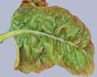 Описание: Описание: Описание: Описание: Описание: Описание: Описание: 13