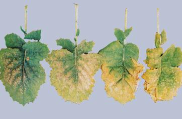 Описание: Описание: Описание: Описание: Описание: Описание: Описание: 14