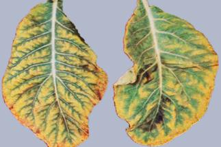 Описание: Описание: Описание: Описание: Описание: Описание: Описание: 16