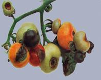 Описание: Описание: Описание: Описание: Описание: Описание: Описание: 21