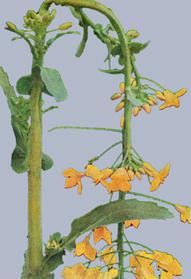 Описание: Описание: Описание: Описание: Описание: Описание: Описание: 20