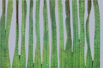 Описание: Описание: Описание: Описание: Описание: Описание: Описание: 22