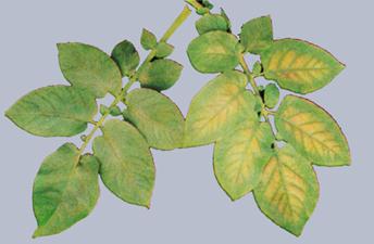 Описание: Описание: Описание: Описание: Описание: Описание: Описание: 23