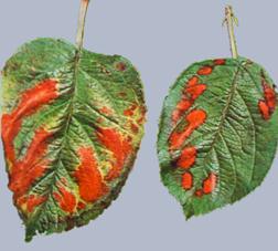 Описание: Описание: Описание: Описание: Описание: Описание: Описание: 26