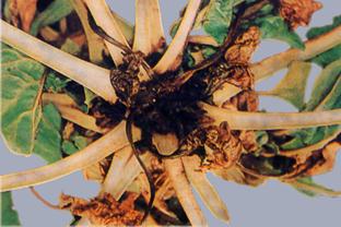 Описание: Описание: Описание: Описание: Описание: Описание: Описание: 27