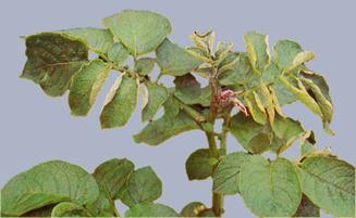 Описание: Описание: Описание: Описание: Описание: Описание: Описание: 28