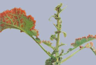 Описание: Описание: Описание: Описание: Описание: Описание: Описание: 29