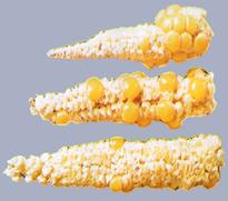 Описание: Описание: Описание: Описание: Описание: Описание: Описание: 31