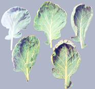 Описание: Описание: Описание: Описание: Описание: Описание: Описание: 34