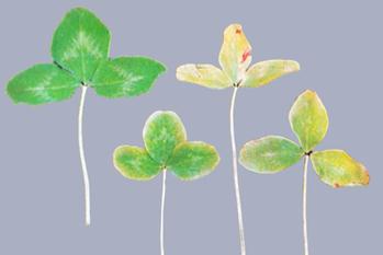 Описание: Описание: Описание: Описание: Описание: Описание: Описание: 33