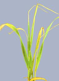 Описание: Описание: Описание: Описание: Описание: Описание: Описание: 35