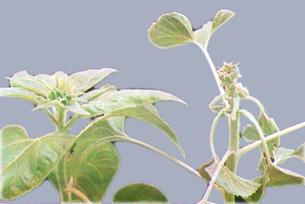 Описание: Описание: Описание: Описание: Описание: Описание: Описание: 36