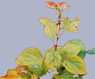 Описание: Описание: Описание: Описание: Описание: Описание: Описание: 38