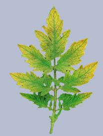 Описание: Описание: Описание: Описание: Описание: Описание: Описание: 40