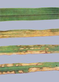 Описание: Описание: Описание: Описание: Описание: Описание: Описание: 41