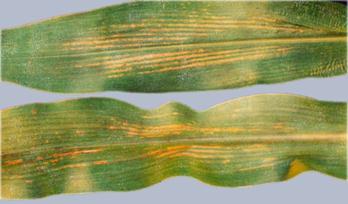 Описание: Описание: Описание: Описание: Описание: Описание: Описание: 42