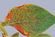 Описание: Описание: Описание: Описание: Описание: Описание: Описание: 44