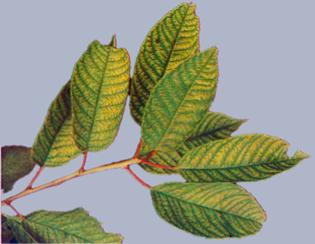 Описание: Описание: Описание: Описание: Описание: Описание: Описание: 45