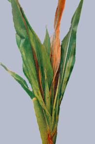 Описание: Описание: Описание: Описание: Описание: Описание: Описание: 46