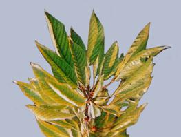 Описание: Описание: Описание: Описание: Описание: Описание: Описание: 47