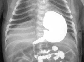 ���.9   ������