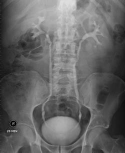 ���. 9 �����