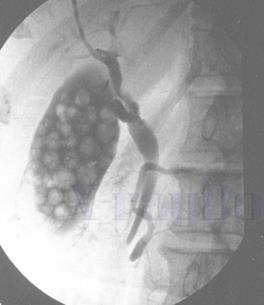 ����9. �. ���������������