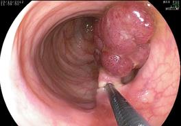 ���.. ��������� �����