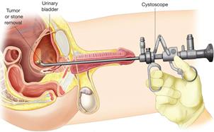 ���. ����������