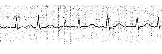 ����������� 004