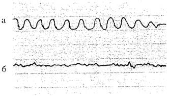 ����������� 005