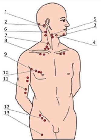 ���������� ��������� �����