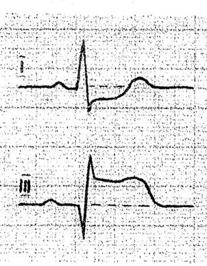 ����������� 003